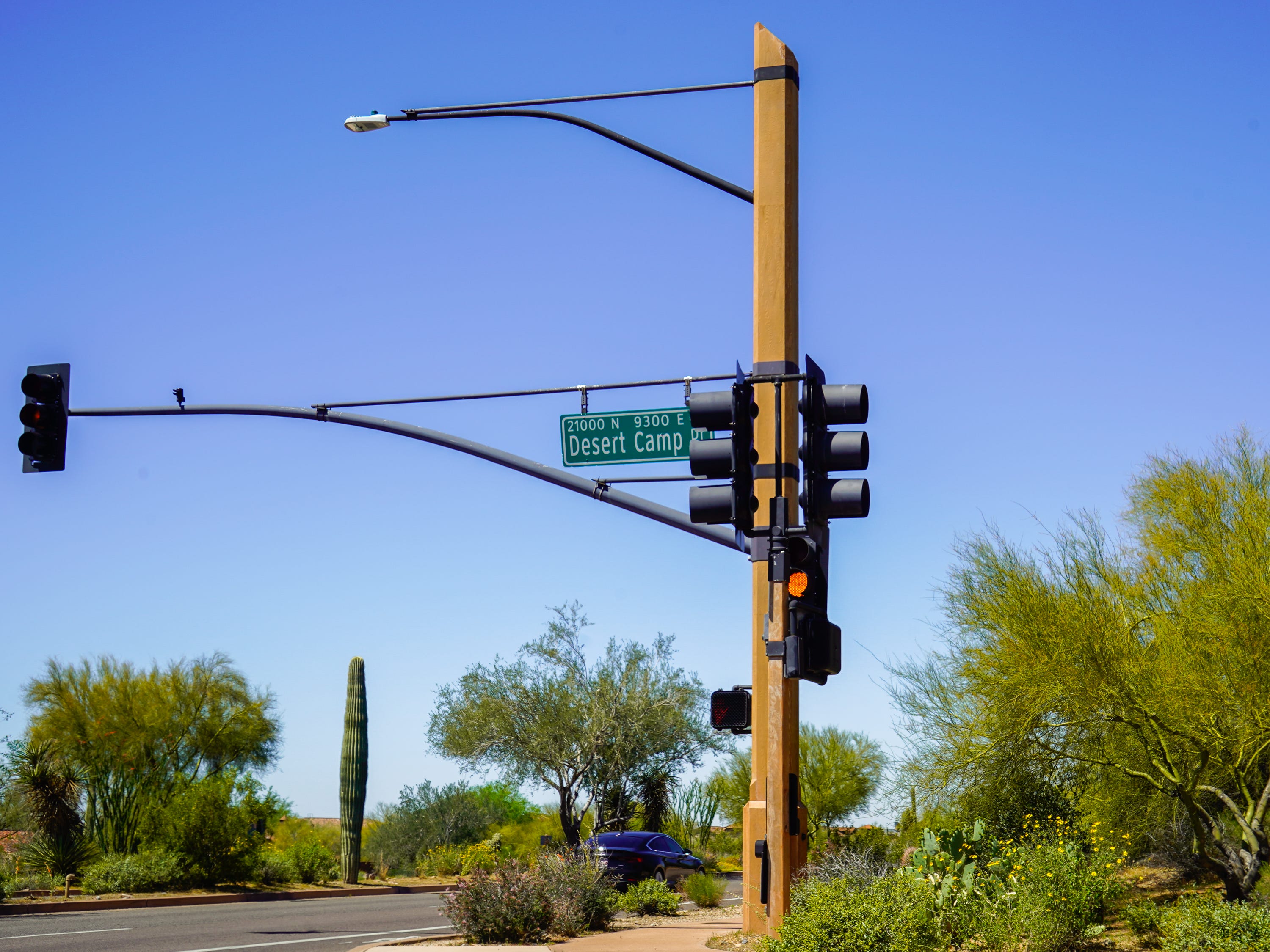 Auf einem Straßenschild an einer Ampel steht: „Desert Camp Drive“ mit Kakteen, Bäumen und blauem Himmel im Hintergrund