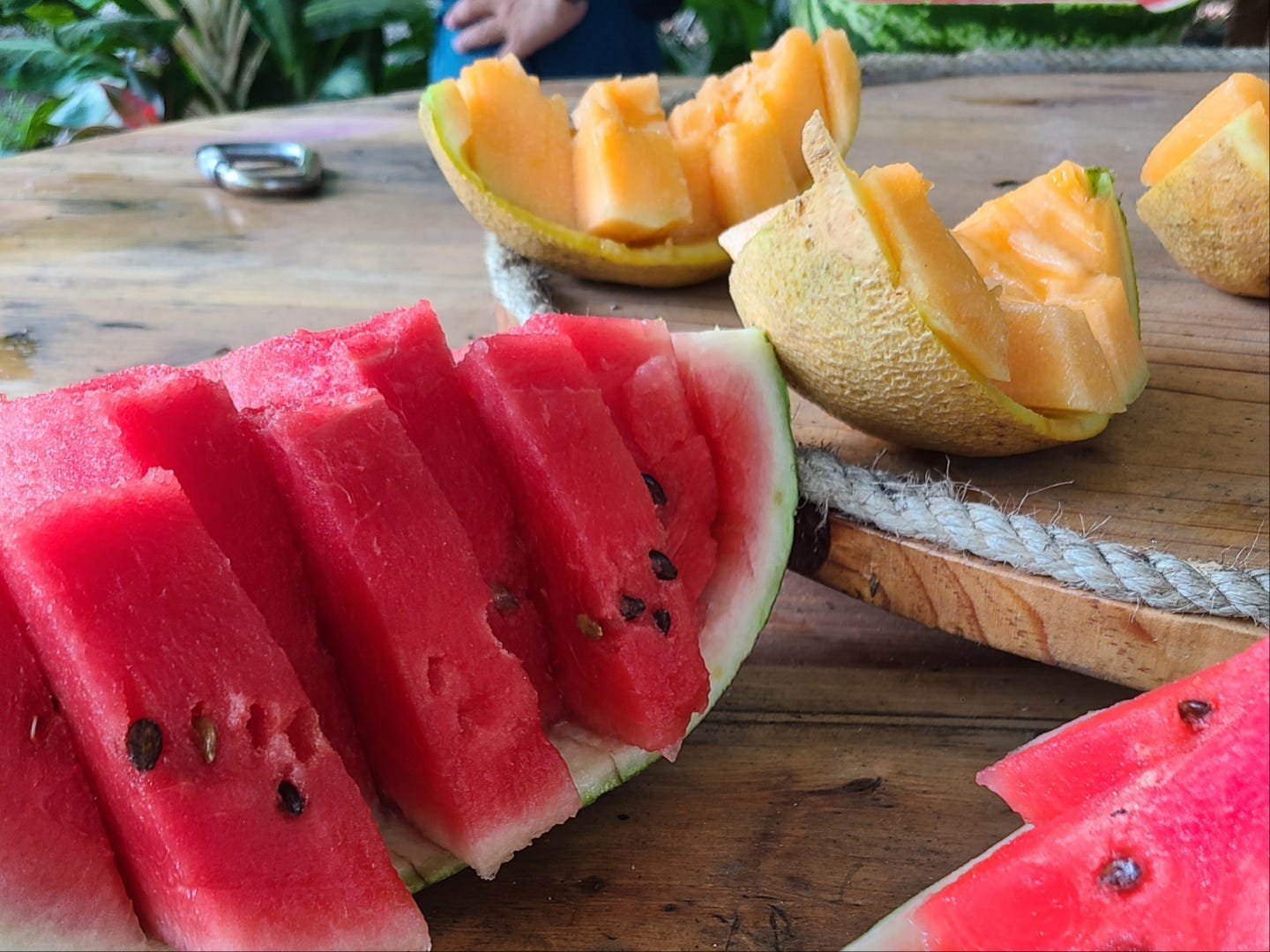 Eine Nahaufnahme einer aufgeschnittenen Kantalup- und Wassermelone auf einem Tisch im Dschungel von Costa Rica.