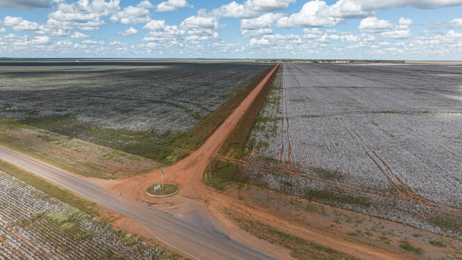 Cotton fields cultivated by SLC Agricola, in the state of Bahia (Brazil), in June 2023.