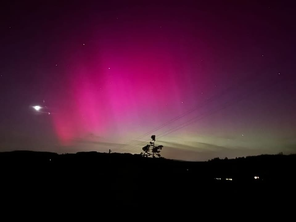 Purple northern lights over night landscape with silhouettes of trees and electricity pylons.