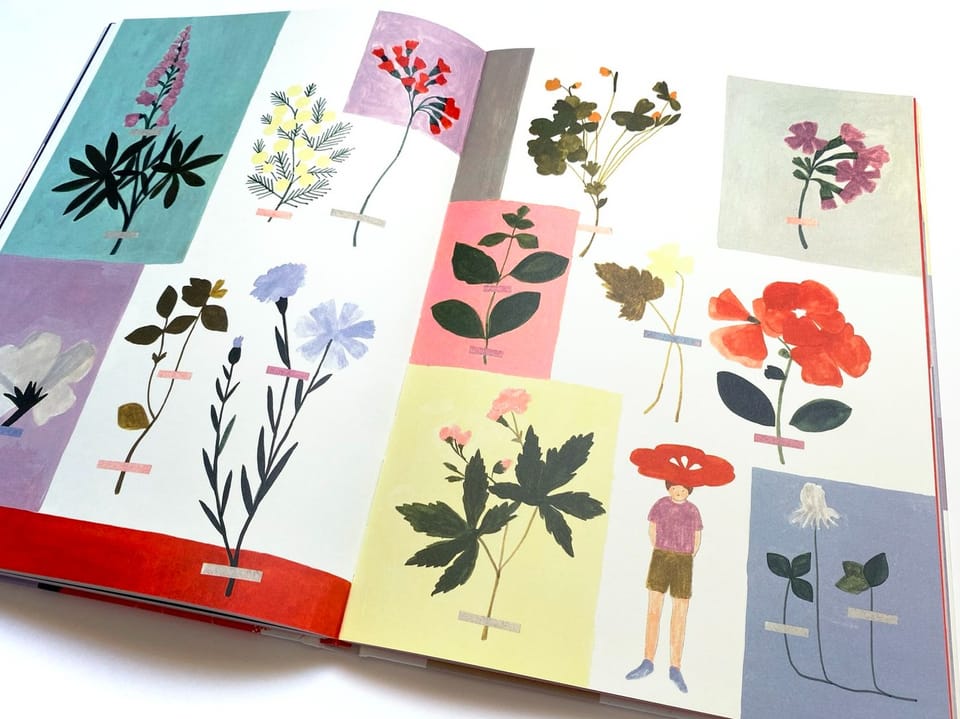 Double page of a book with different drawn flowers.