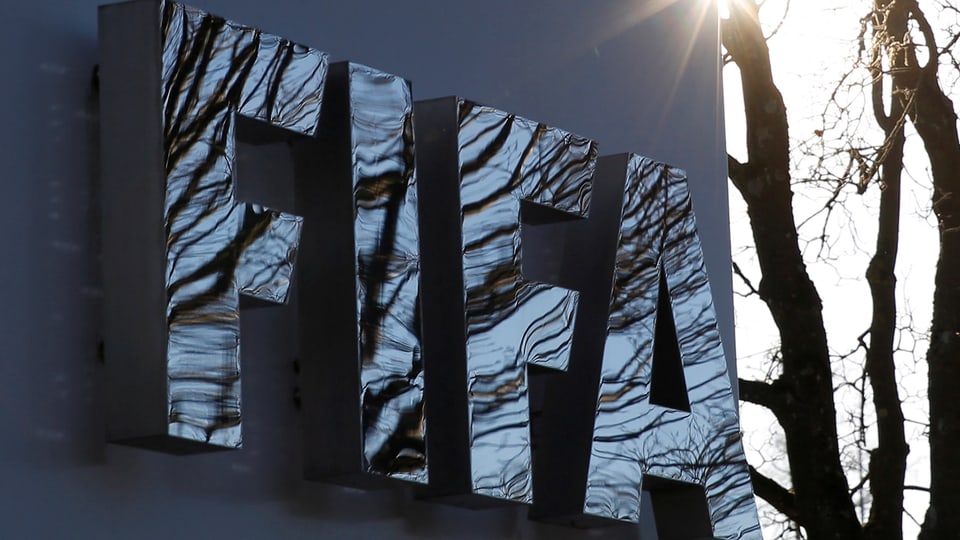 Metallic FIFA logo with reflection of trees.