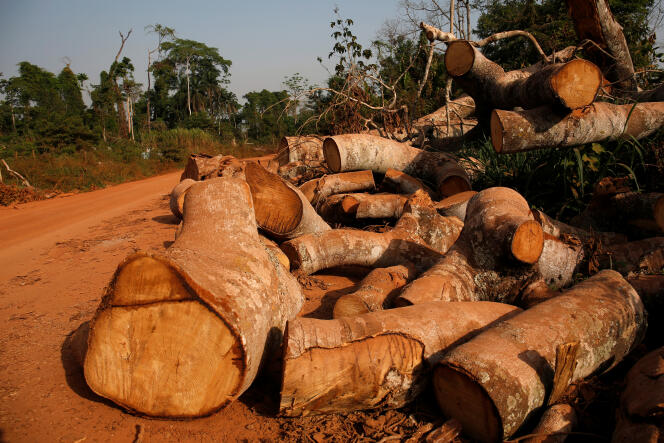 Deforestation on the edge of the Scio forest reserve, near Duékoué, in western Côte d'Ivoire, in February 2018.