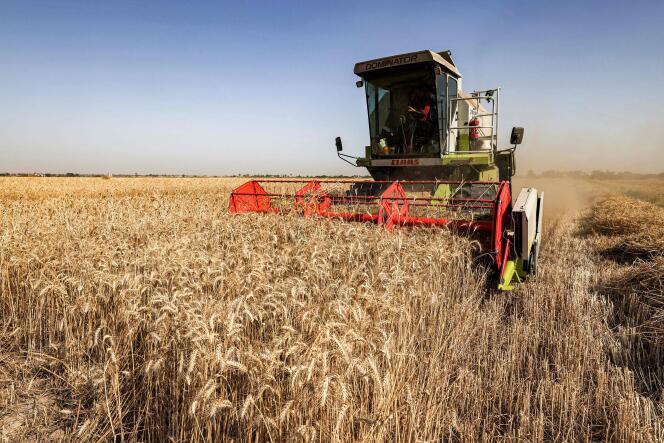A man drives a harvester in a wheat field, in Iraq's central Najaf province, May 7, 2024.