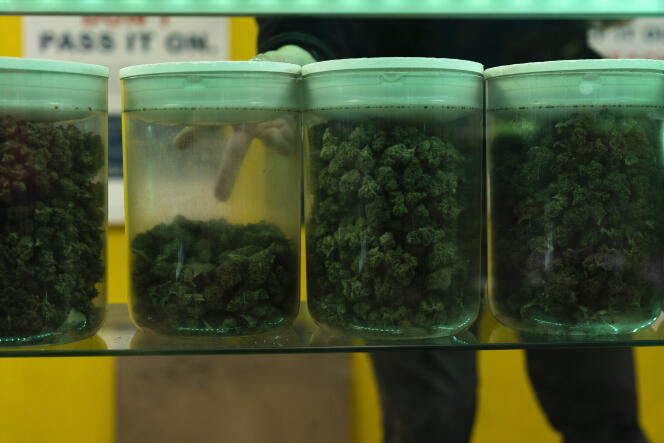 In a store selling cannabis, in Portland, Oregon, United States, April 19, 2024.