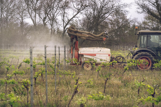 A tractor carries out a phytosanitary treatment in its vineyards, in the South of France, on April 5, 2024.
